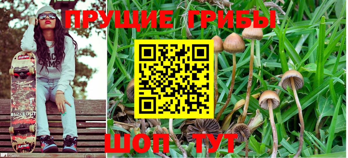 Галлюциногенные грибы Psilocybine cubensis  Псилоцибиновые грибы мухоморы  Вход с VPN  Нижневартовск 